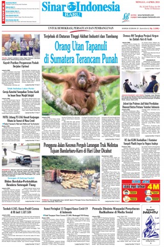 Orang Utan Tapanuli di Sumatera Terancam Punah
